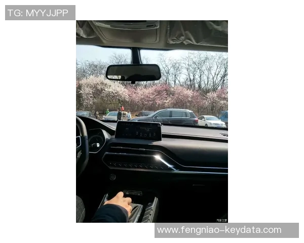 姚明在赛场上的表情动态解析与情感传递的深度探讨