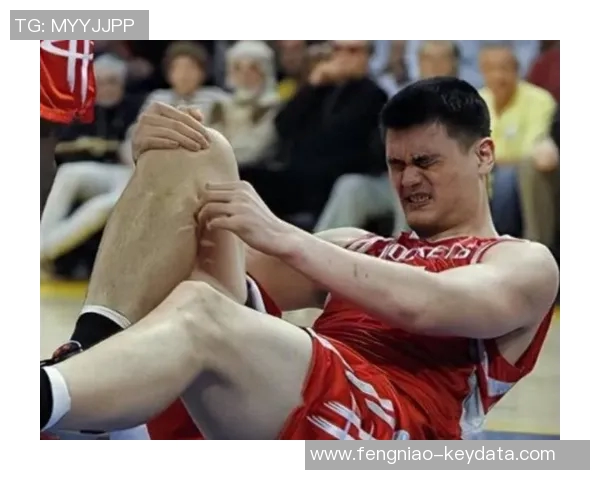 姚明在北京的篮球传奇之路与外援身份的深远影响